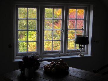 Fireside chats for lockdown times