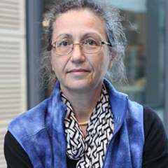 10. Photocatalysis on TiO2: insights from simulations